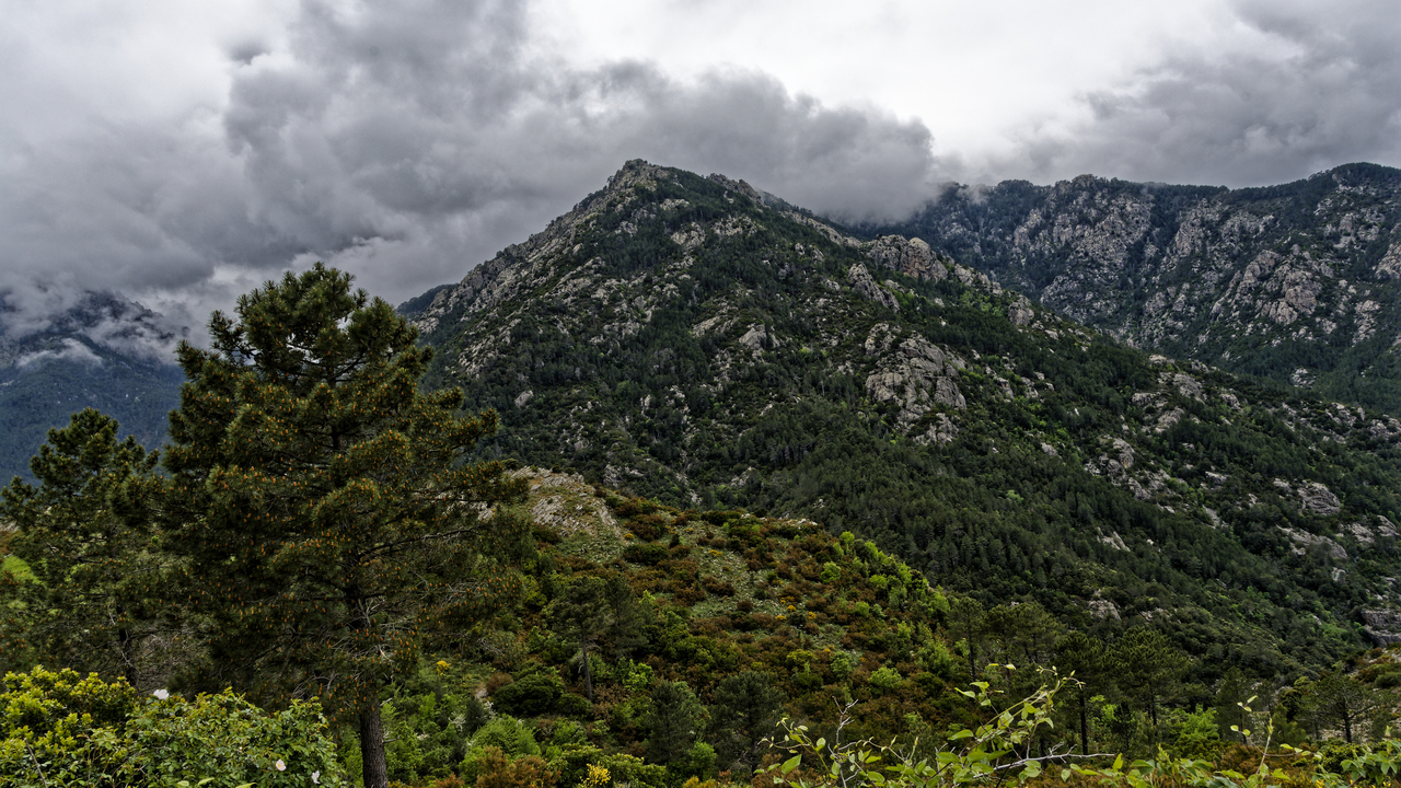 20230518 132030•Corte•Corsica•France